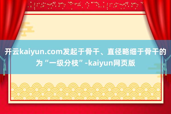 开云kaiyun.com发起于骨干、直径略细于骨干的为“一级